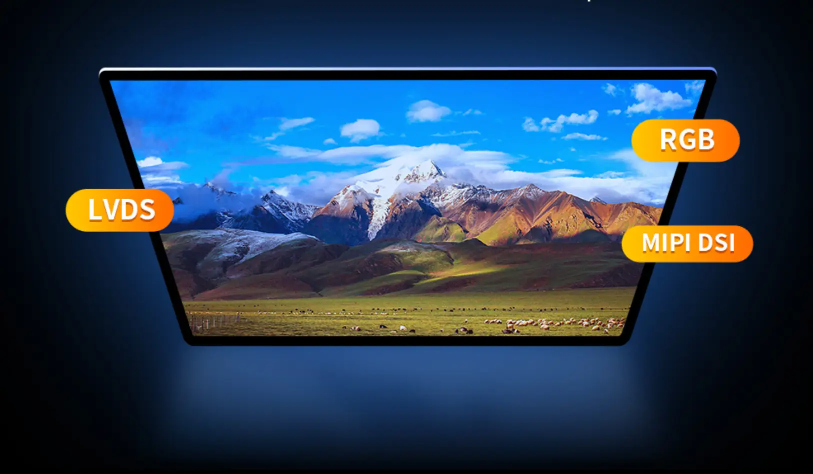 3b076c63-0827-44c6-bf6b-2ac0d1d97d77-image.png