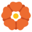 :rosette: 🏵